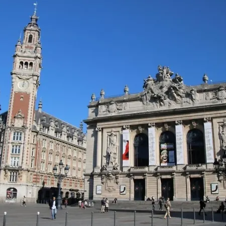 Amazing Renovated In The City-center Lille